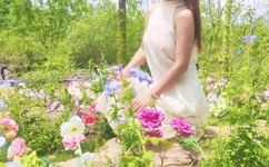 小明1看看地址一